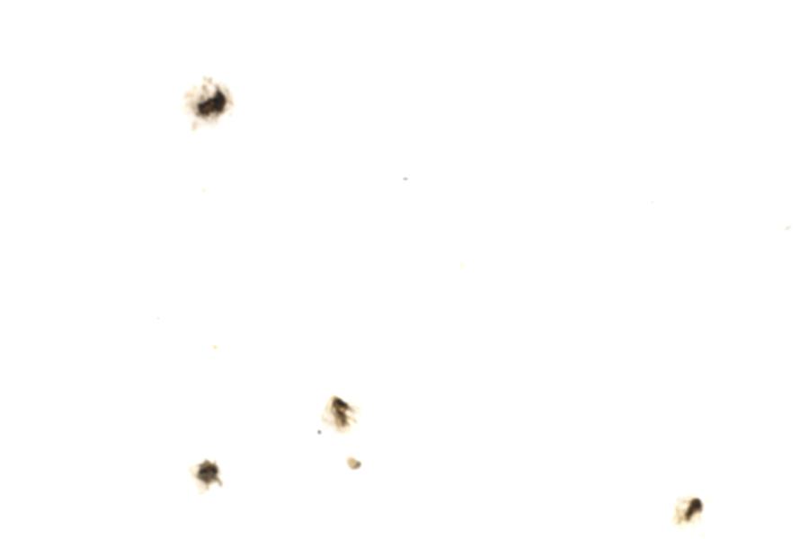 Image 66